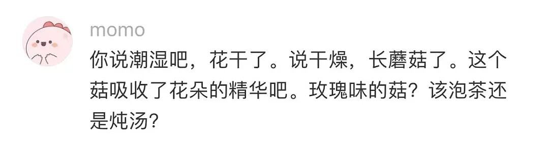 【爆笑】“当事人原件弄丢后甩出张AI的欠条…?”哈哈哈以为法官的智商是一片鞋垫吗!(组图) - 36