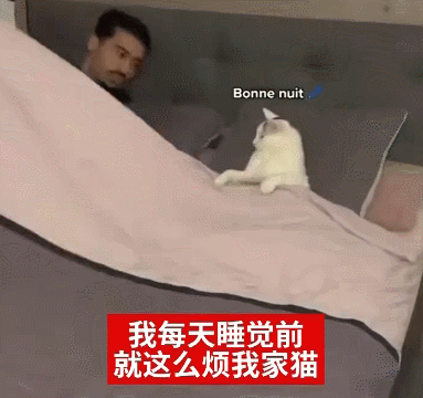 【宠物】小姐姐看到一条瘦身玄学,打开指南针看家里西南角有啥圆乎乎的东西,没想到是只肥猫!咪:怪我咯?(组图) - 12
