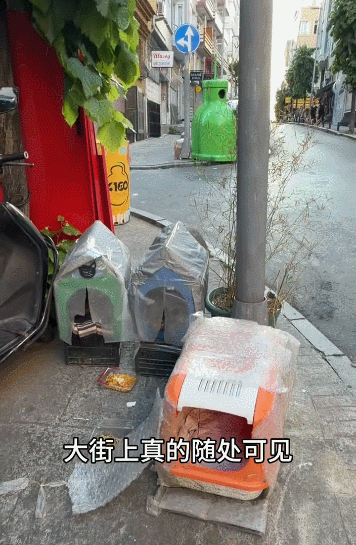 【宠物】小姐姐看到一条瘦身玄学,打开指南针看家里西南角有啥圆乎乎的东西,没想到是只肥猫!咪:怪我咯?(组图) - 20