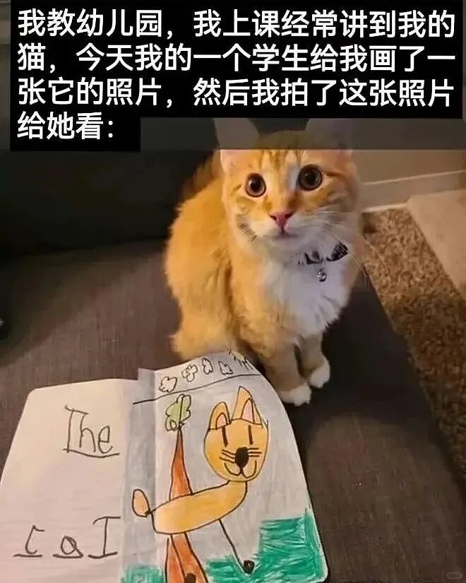 【宠物】小姐姐看到一条瘦身玄学,打开指南针看家里西南角有啥圆乎乎的东西,没想到是只肥猫!咪:怪我咯?(组图) - 16