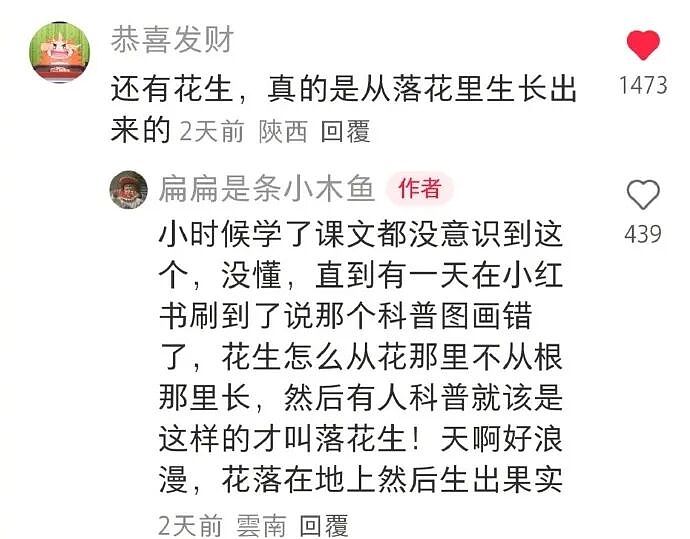 【爆笑】结婚遇到这样的绿茶婆婆怎么办??网友无语:建议发他家亲戚群里...(组图) - 44
