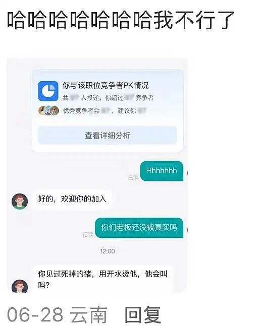 【爆笑】“找工作被HR提前剧透公司拖欠工资...?”哈哈哈怨气大到隔着屏幕都感受到了!(组图) - 10