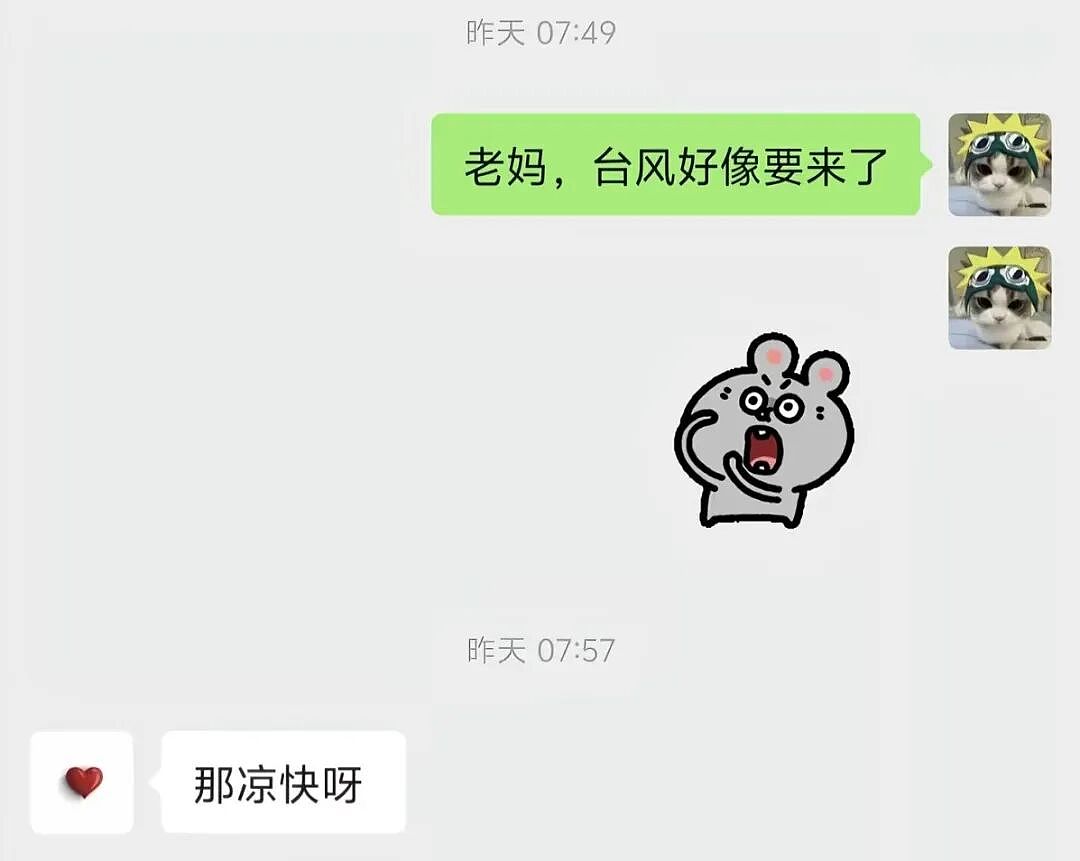 【爆笑】“找工作被HR提前剧透公司拖欠工资...?”哈哈哈怨气大到隔着屏幕都感受到了!(组图) - 43