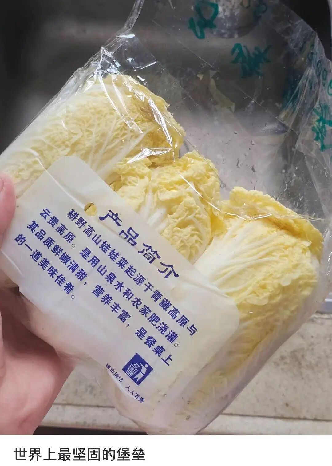 【爆笑】“找工作被HR提前剧透公司拖欠工资...?”哈哈哈怨气大到隔着屏幕都感受到了!(组图) - 82
