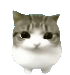 【宠物】广西台风洪水淹没猫舍,几十只小猫被困,店主和朋友在水里站着骑共享单车,救走它们!(组图) - 10