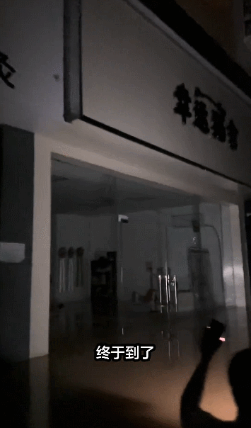 【宠物】广西台风洪水淹没猫舍,几十只小猫被困,店主和朋友在水里站着骑共享单车,救走它们!(组图) - 6