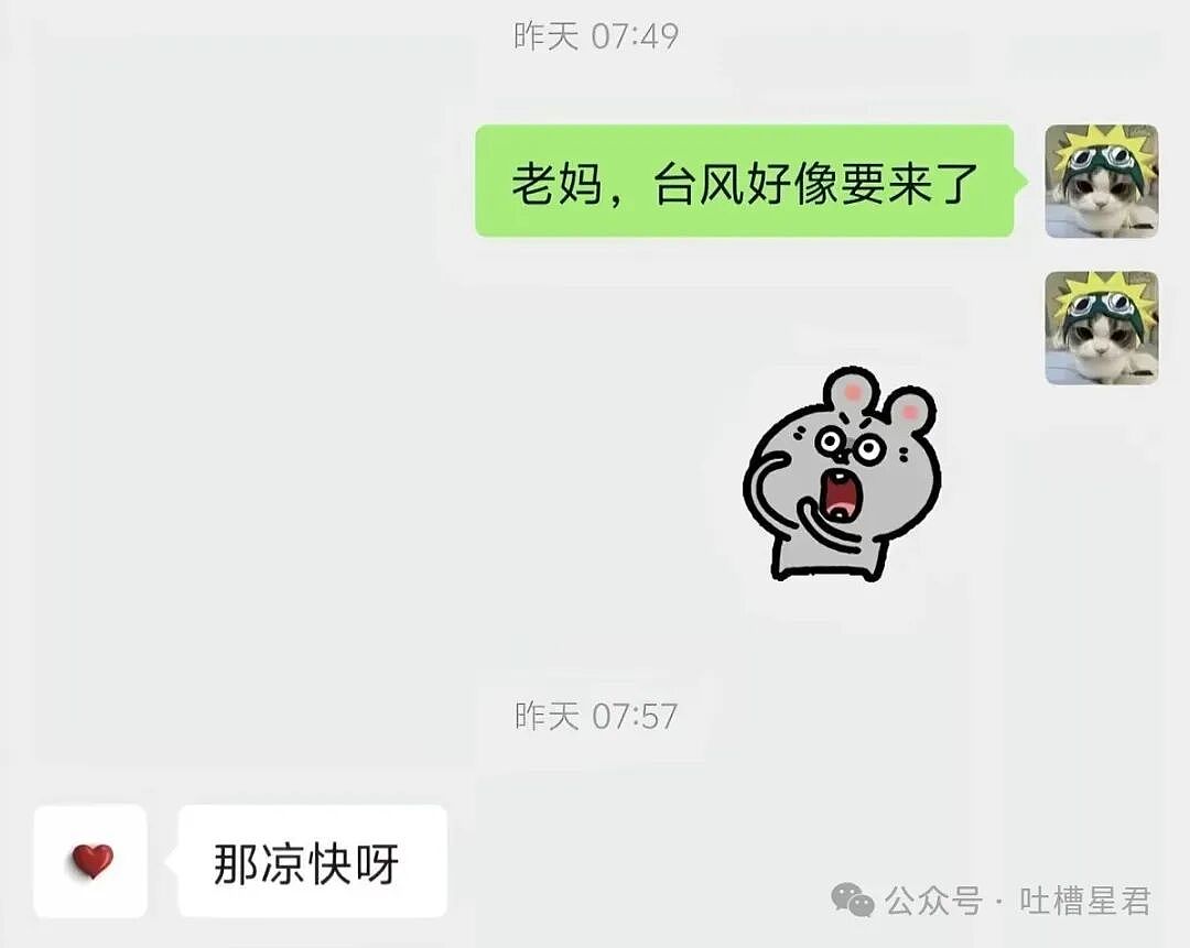 【爆笑】“找工作被HR提前剧透公司拖欠工资...?”哈哈哈怨气大到隔着屏幕都感受到了!(组图) - 42