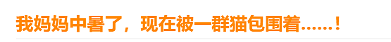 女生看监控发现,小猫趁她痛经昏睡时狂翻她聊天记录…网友:咪是天蝎座的吧(组图) - 8