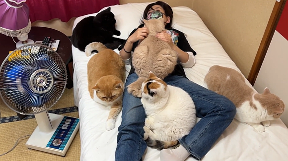 女生看监控发现,小猫趁她痛经昏睡时狂翻她聊天记录…网友:咪是天蝎座的吧(组图) - 7