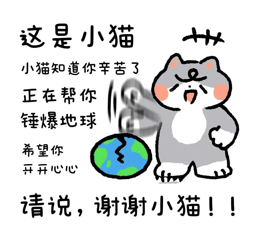 女生看监控发现,小猫趁她痛经昏睡时狂翻她聊天记录…网友:咪是天蝎座的吧(组图) - 6