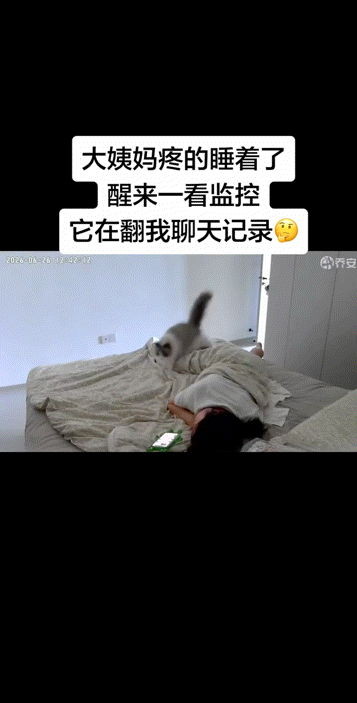 女生看监控发现,小猫趁她痛经昏睡时狂翻她聊天记录…网友:咪是天蝎座的吧(组图) - 2