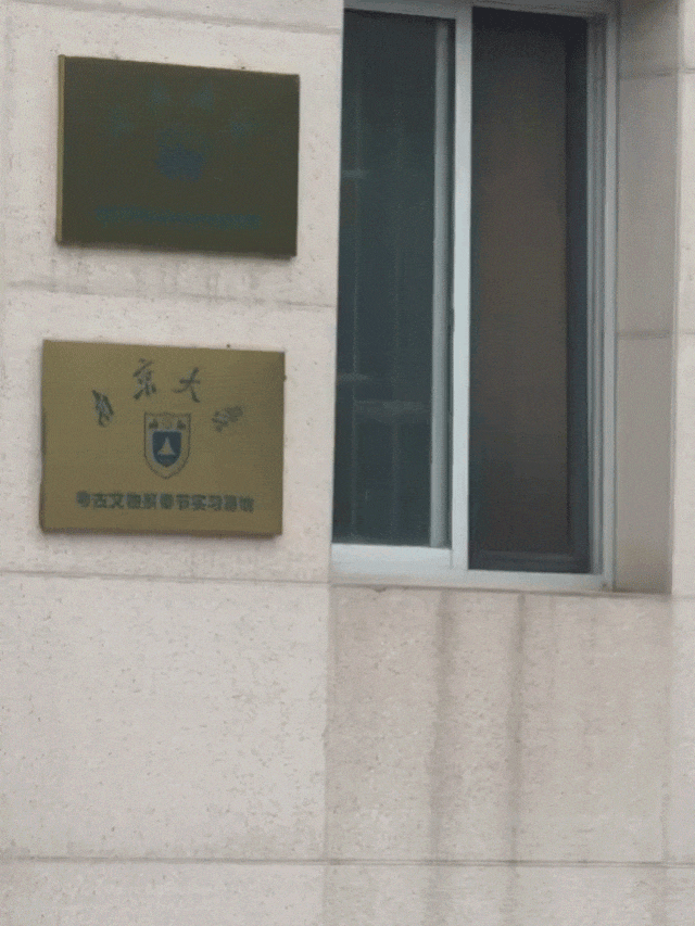 女生看监控发现,小猫趁她痛经昏睡时狂翻她聊天记录…网友:咪是天蝎座的吧(组图) - 5
