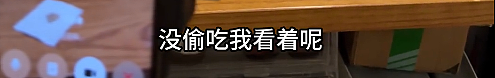 流浪猫碰瓷保时捷车主,被驱赶多次都不肯走,结果…傍富婆的代价也太大了呜呜(组图) - 22