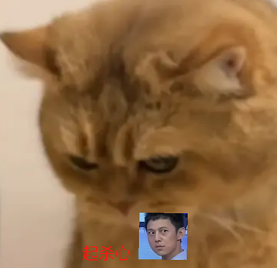 流浪猫碰瓷保时捷车主,被驱赶多次都不肯走,结果…傍富婆的代价也太大了呜呜(组图) - 27