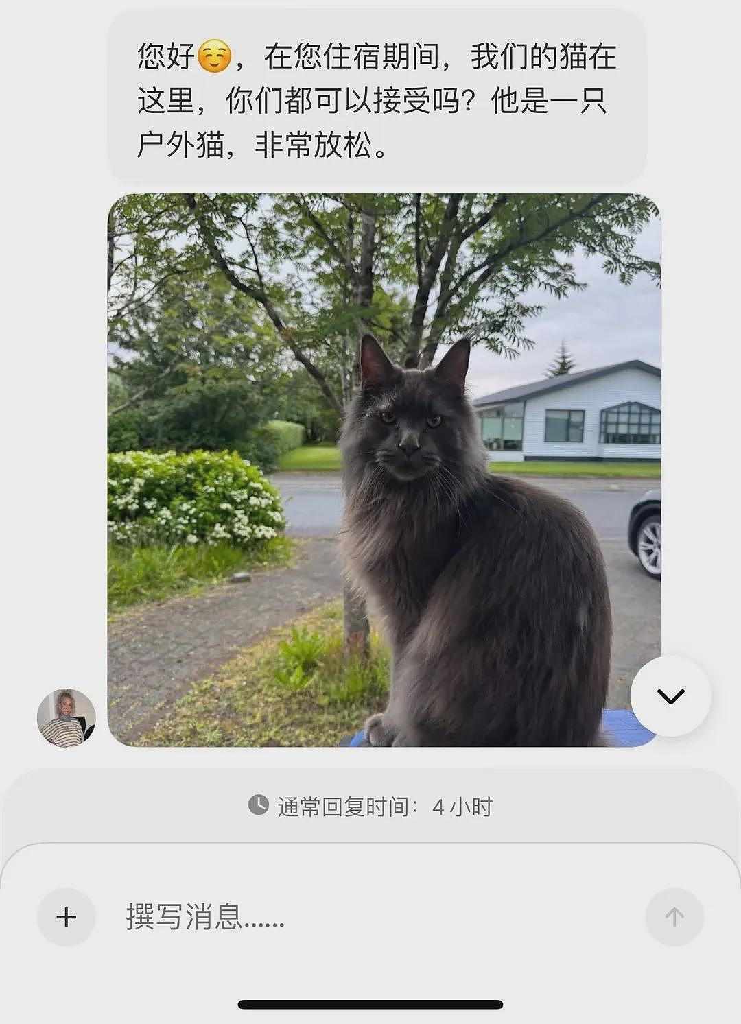 【宠物】你再说一遍,医生正在抢救猫咪的什么?!围观网友笑喷:医生你一定要救活它哇! - 2