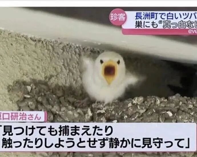 【爆笑】“网恋男朋友不让我上班每天给我3k…？”啊啊啊不可置信的睁大眼睛看了三遍！（组图） - 70