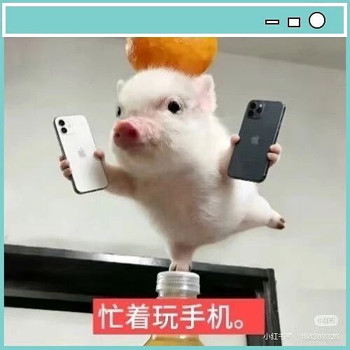 【爆笑】“网恋男朋友不让我上班每天给我3k…？”啊啊啊不可置信的睁大眼睛看了三遍！（组图） - 85