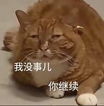 【宠物】你再说一遍，医生正在抢救猫咪的什么？！围观网友笑喷：医生你一定要救活它哇！