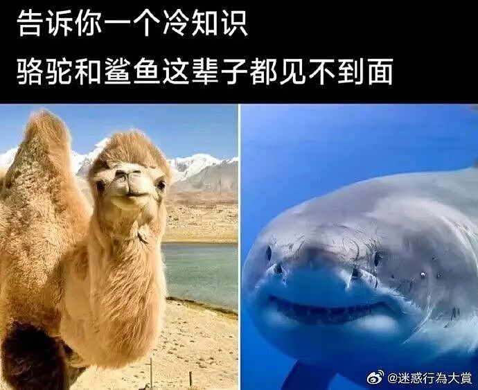 【爆笑】“网恋男朋友不让我上班每天给我3k…？”啊啊啊不可置信的睁大眼睛看了三遍！（组图） - 63