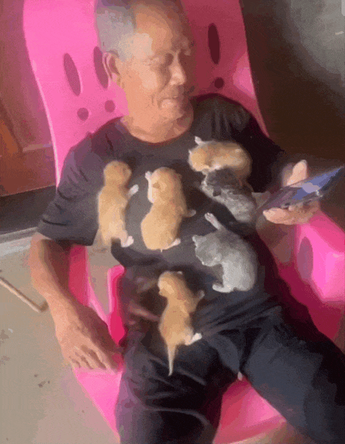 【宠物】你再说一遍,医生正在抢救猫咪的什么?!围观网友笑喷:医生你一定要救活它哇! - 3