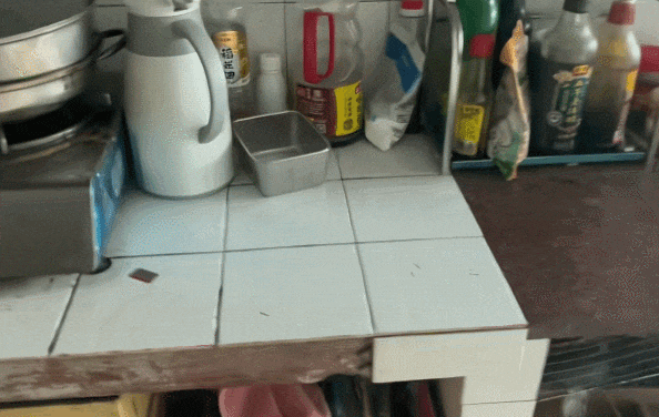 【宠物】你再说一遍,医生正在抢救猫咪的什么?!围观网友笑喷:医生你一定要救活它哇! - 29