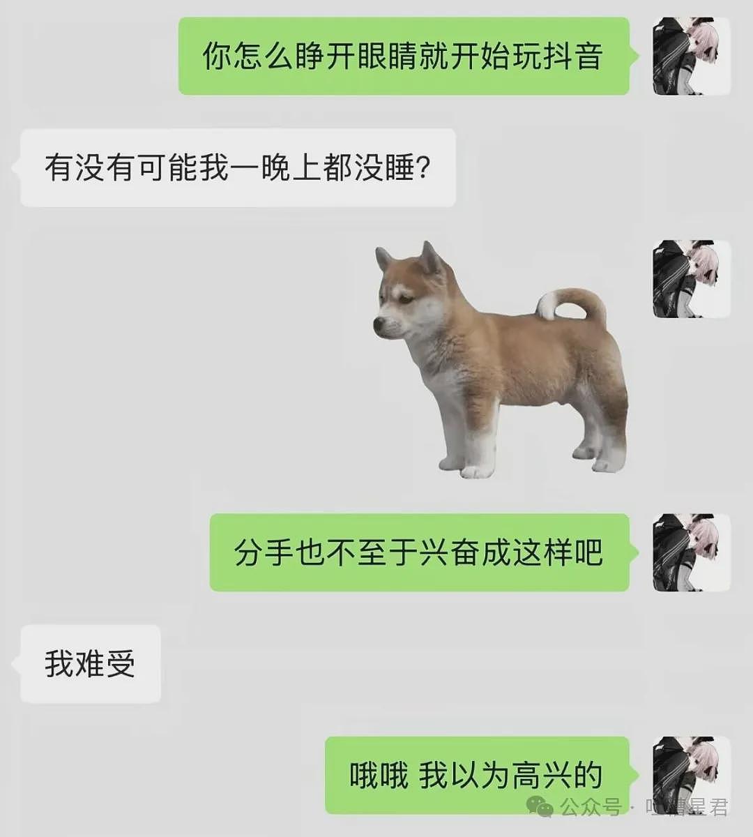 【爆笑】“相亲对象说自己当年被骗生了个儿子…?”啊啊啊也不带货就纯膈应人吗! - 66