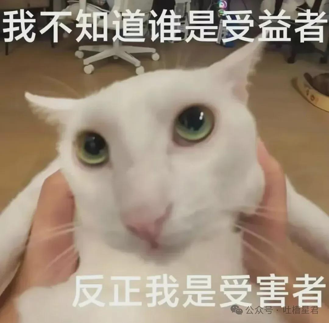 【爆笑】“相亲对象说自己当年被骗生了个儿子…?”啊啊啊也不带货就纯膈应人吗! - 94