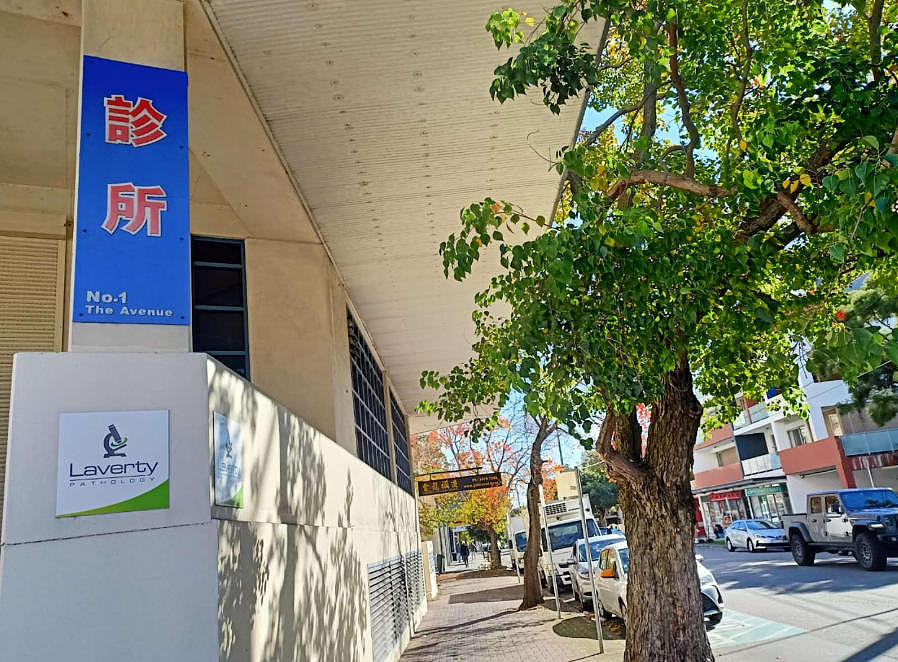好事围繁华路段藏着“美丽魔鬼”:剧毒落叶伤人、树根毁路,王斌议员呼吁居民自查 - 6