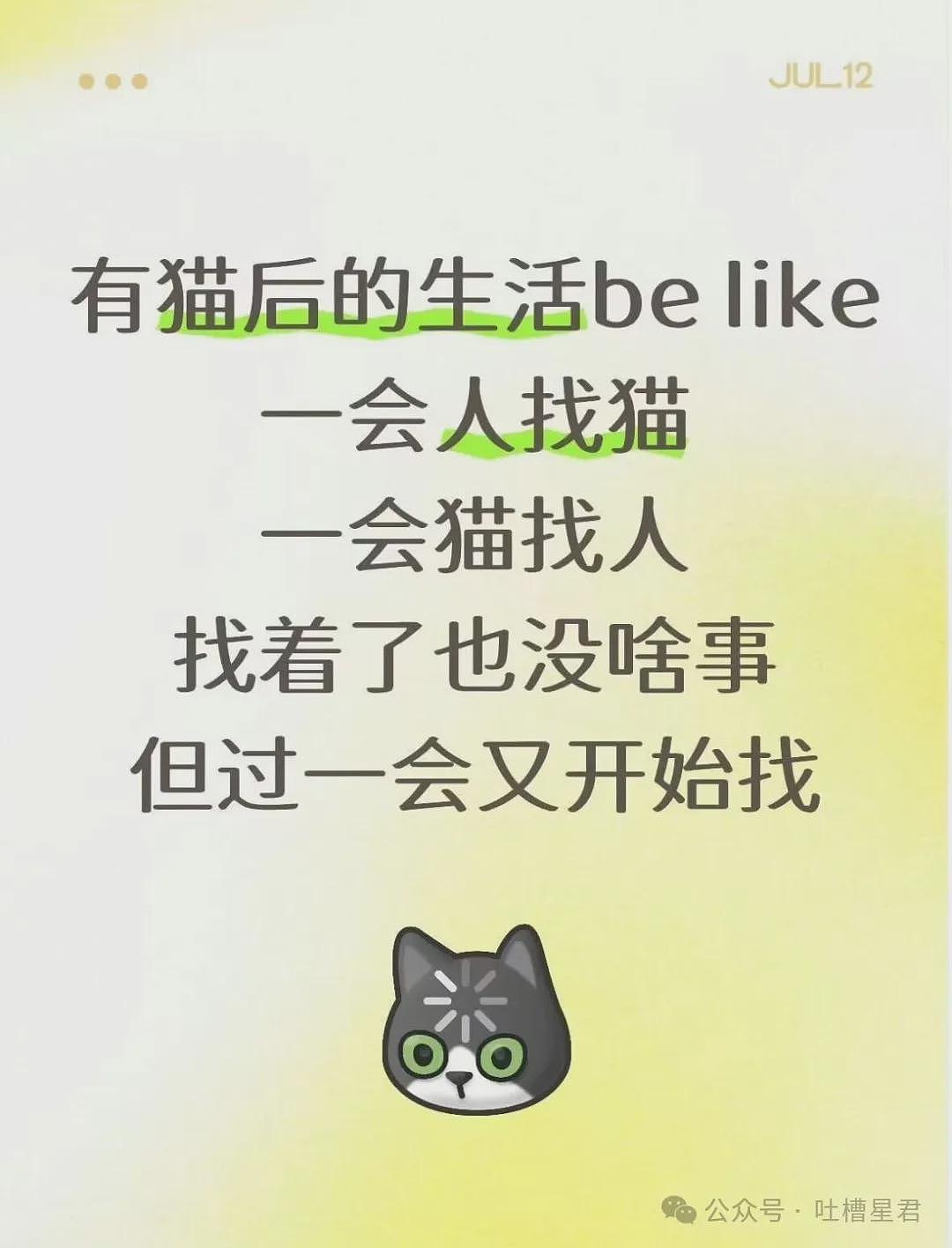 【爆笑】“相亲对象说自己当年被骗生了个儿子…?”啊啊啊也不带货就纯膈应人吗! - 36