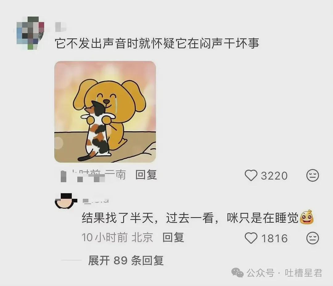 【爆笑】“相亲对象说自己当年被骗生了个儿子…?”啊啊啊也不带货就纯膈应人吗! - 38