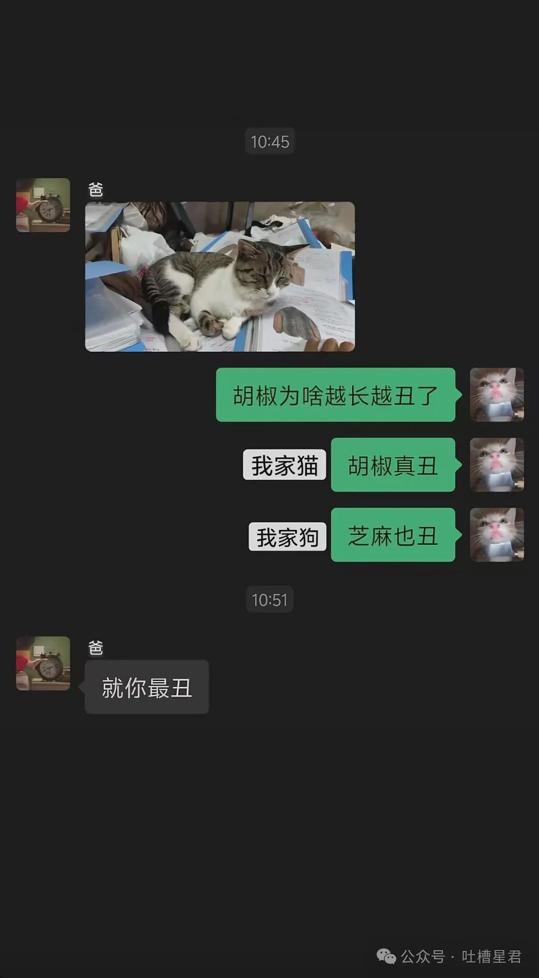 【爆笑】“因为润六月房东收我13个月房租…?”啊啊啊退休金也发了13个月吗! - 76