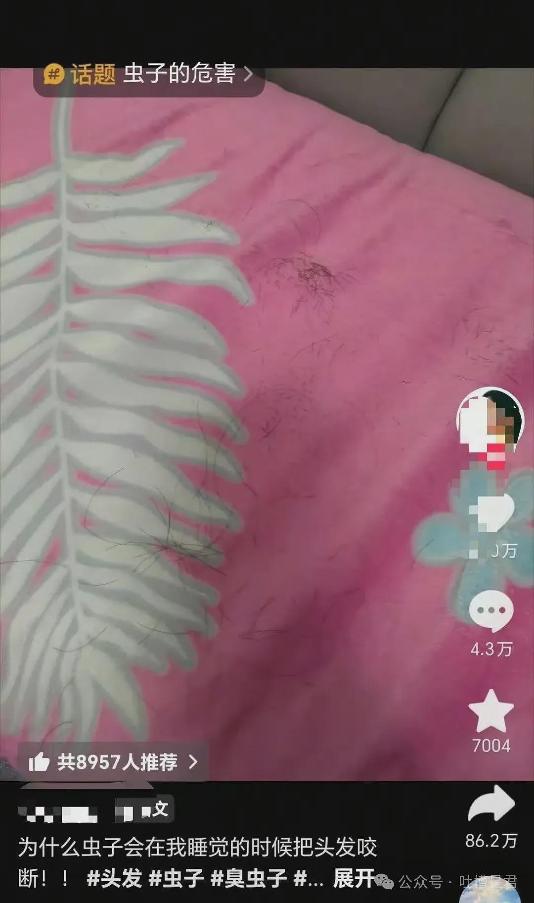 【爆笑】“因为润六月房东收我13个月房租…?”啊啊啊退休金也发了13个月吗! - 58
