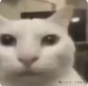 【爆笑】“因为润六月房东收我13个月房租…?”啊啊啊退休金也发了13个月吗! - 2