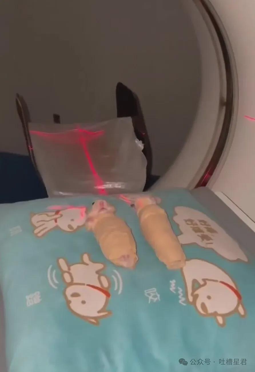【爆笑】“因为润六月房东收我13个月房租…?”啊啊啊退休金也发了13个月吗! - 87
