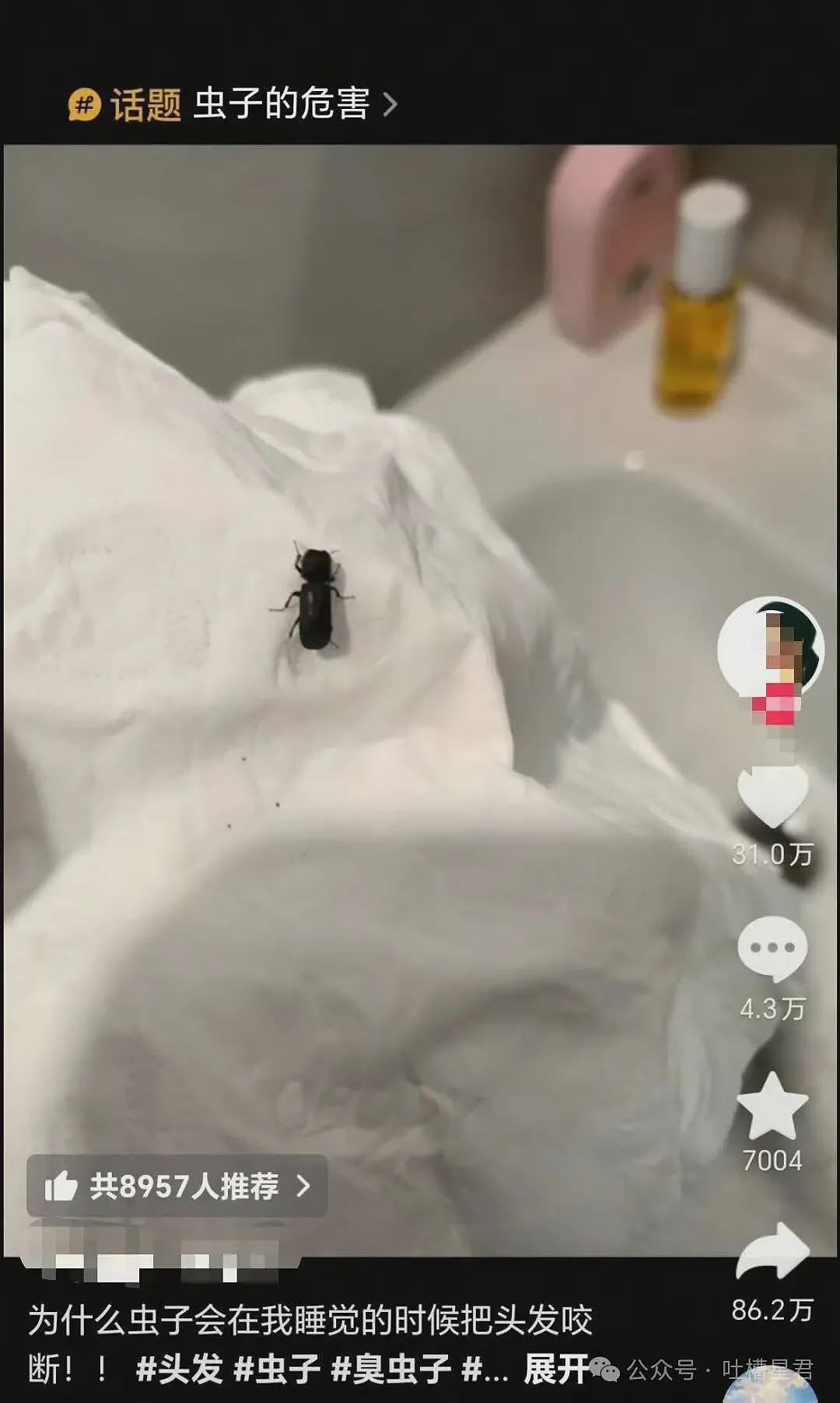 【爆笑】“因为润六月房东收我13个月房租…?”啊啊啊退休金也发了13个月吗! - 57