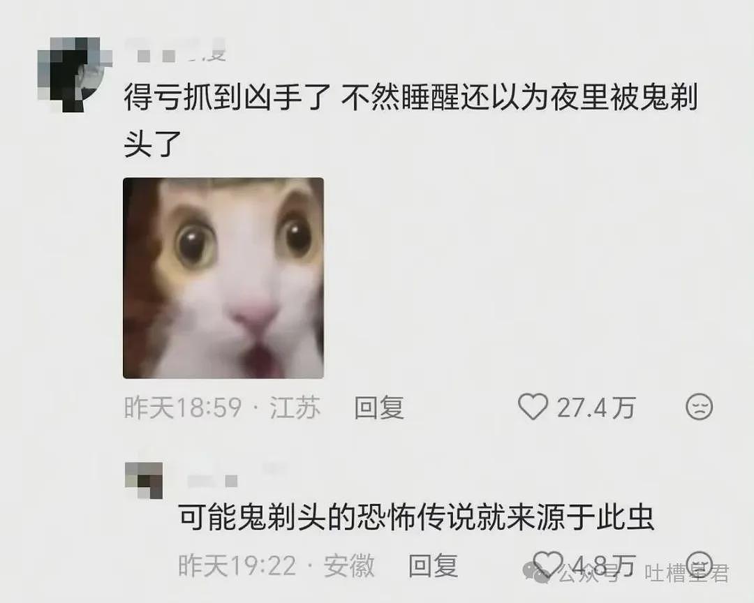 【爆笑】“因为润六月房东收我13个月房租…?”啊啊啊退休金也发了13个月吗! - 59