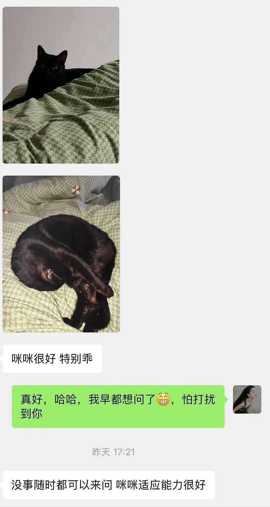 【宠物】妹子把小猫送养给小哥后,多次微信问他情况都没回复,直到一年半后收到这张图...网友:确定是同一只吗?!(组图) - 6