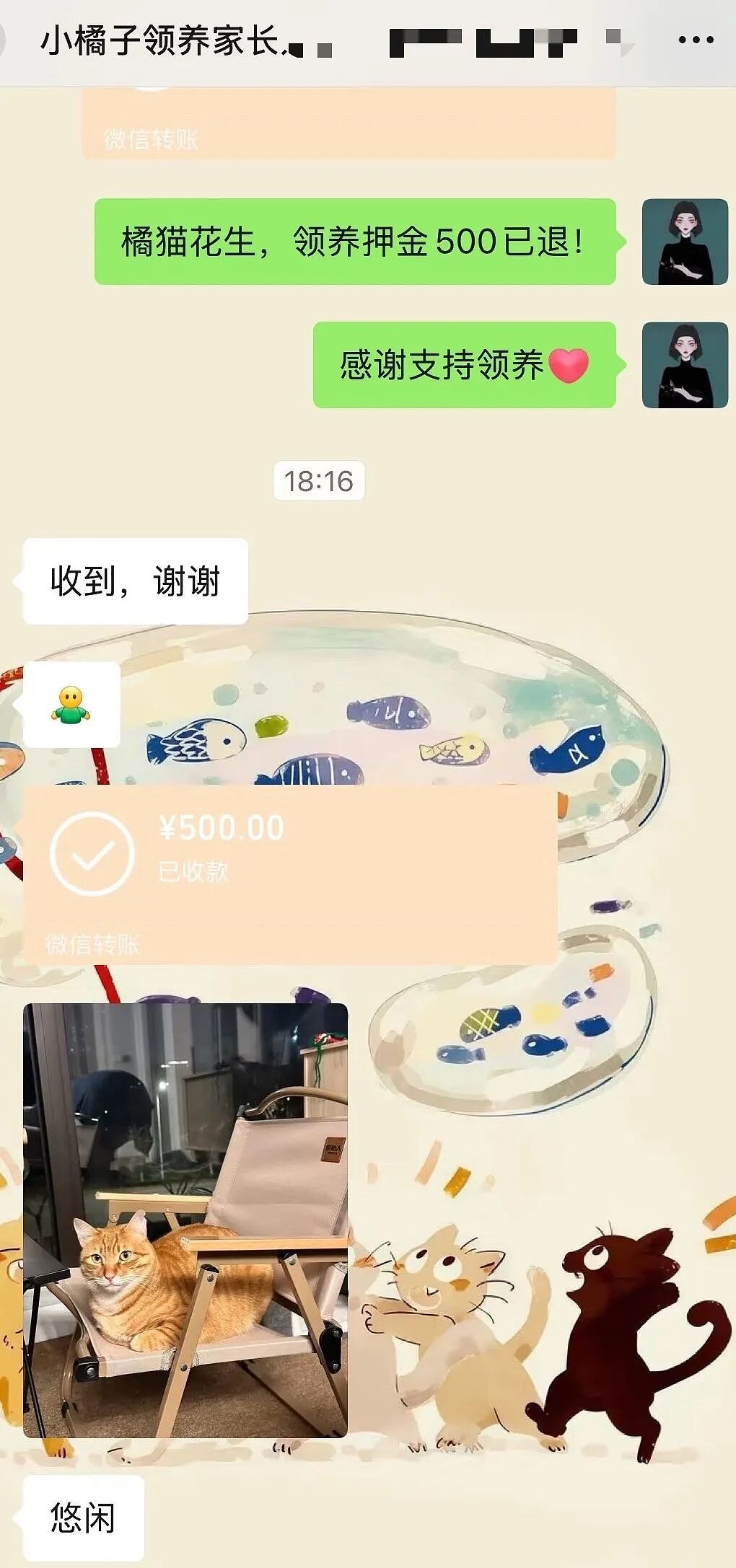 【宠物】妹子把小猫送养给小哥后,多次微信问他情况都没回复,直到一年半后收到这张图...网友:确定是同一只吗?!(组图) - 13