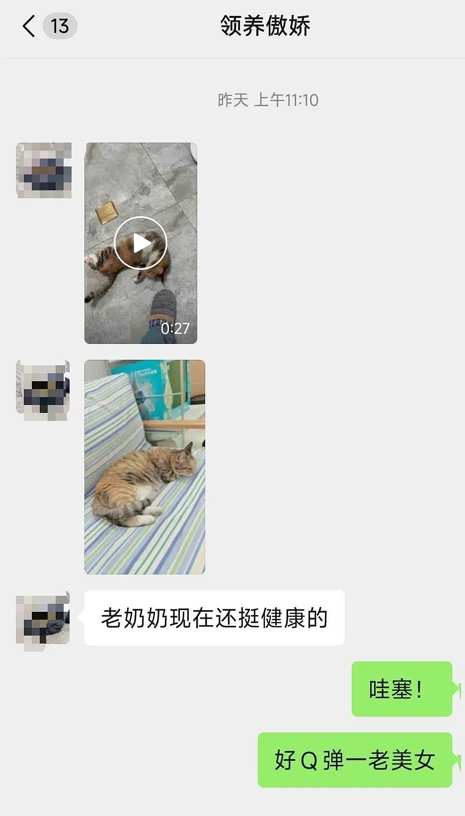 【宠物】妹子把小猫送养给小哥后,多次微信问他情况都没回复,直到一年半后收到这张图...网友:确定是同一只吗?!(组图) - 3