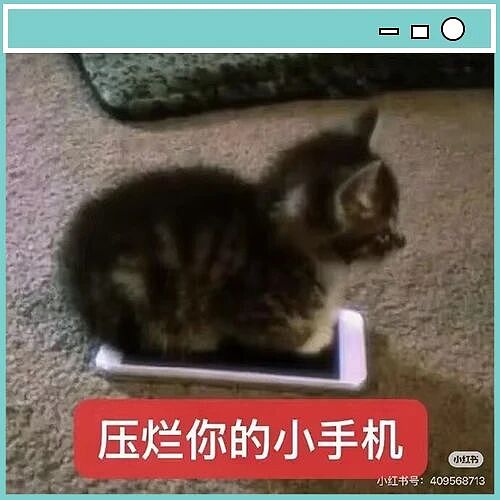 【爆笑】“在大城市上班能激起人的打扮欲...?”啊啊啊环境养人果然是真的!(组图) - 1