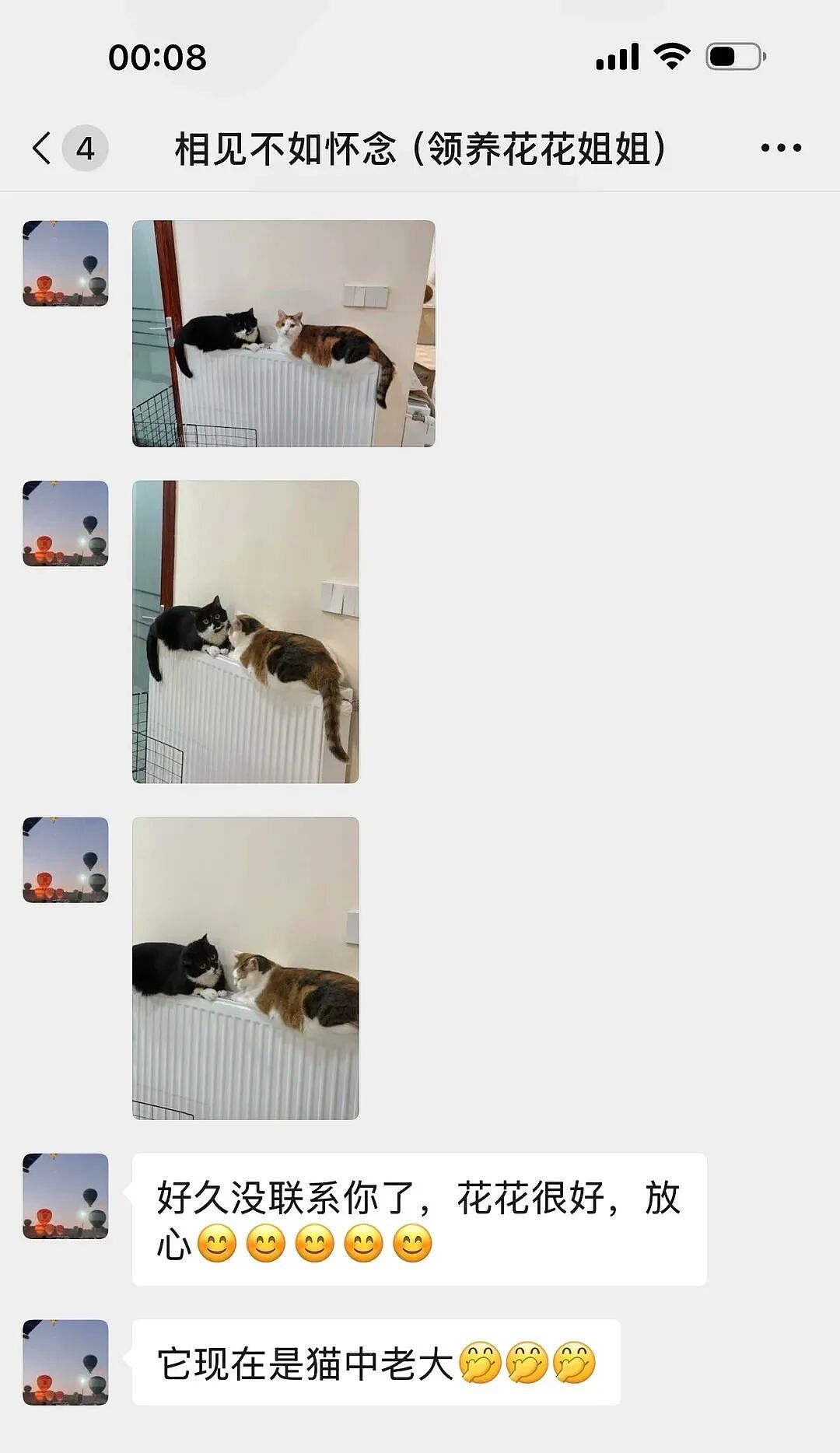 【宠物】妹子把小猫送养给小哥后,多次微信问他情况都没回复,直到一年半后收到这张图...网友:确定是同一只吗?!(组图) - 8