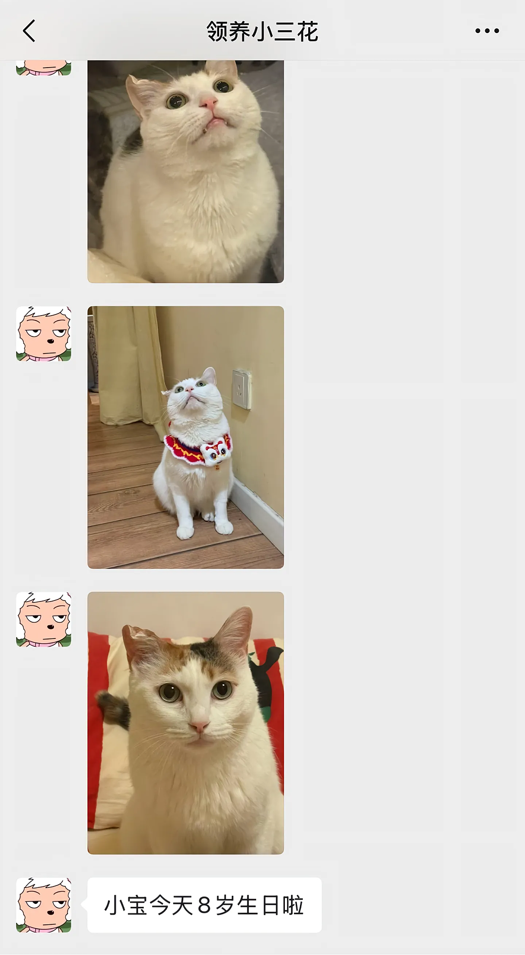 【宠物】妹子把小猫送养给小哥后,多次微信问他情况都没回复,直到一年半后收到这张图...网友:确定是同一只吗?!(组图) - 1