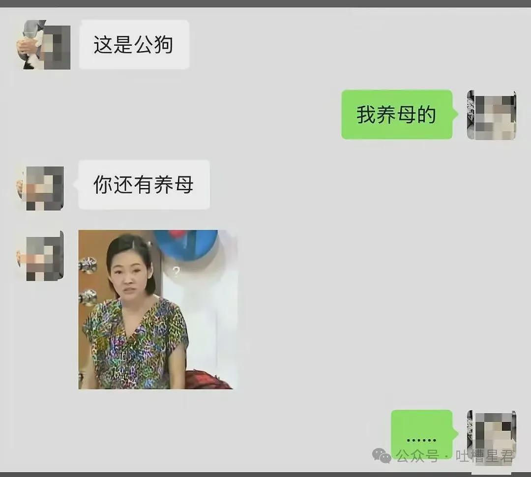 【爆笑】“迪迦和赛罗谁才是最受欢迎的奥特曼…？”哈哈哈奥特曼也有饭圈！ - 91