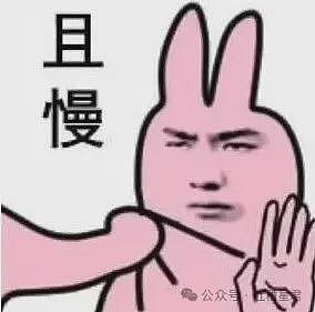 【爆笑】“迪迦和赛罗谁才是最受欢迎的奥特曼…？”哈哈哈奥特曼也有饭圈！ - 3