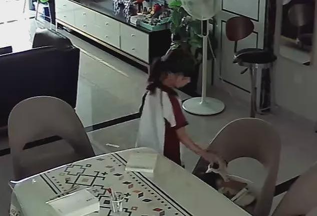 【宠物】小姐姐深夜湖边崩溃大哭,一只流浪猫悄悄爬上椅子,安静陪着她…网友泪目:它自己都没家,却还在担心你 - 6