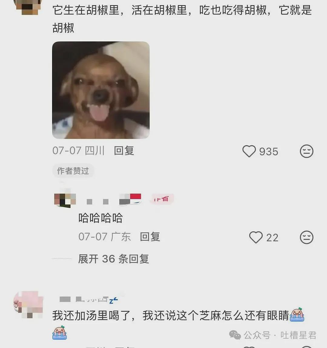 【爆笑】“迪迦和赛罗谁才是最受欢迎的奥特曼…？”哈哈哈奥特曼也有饭圈！ - 42