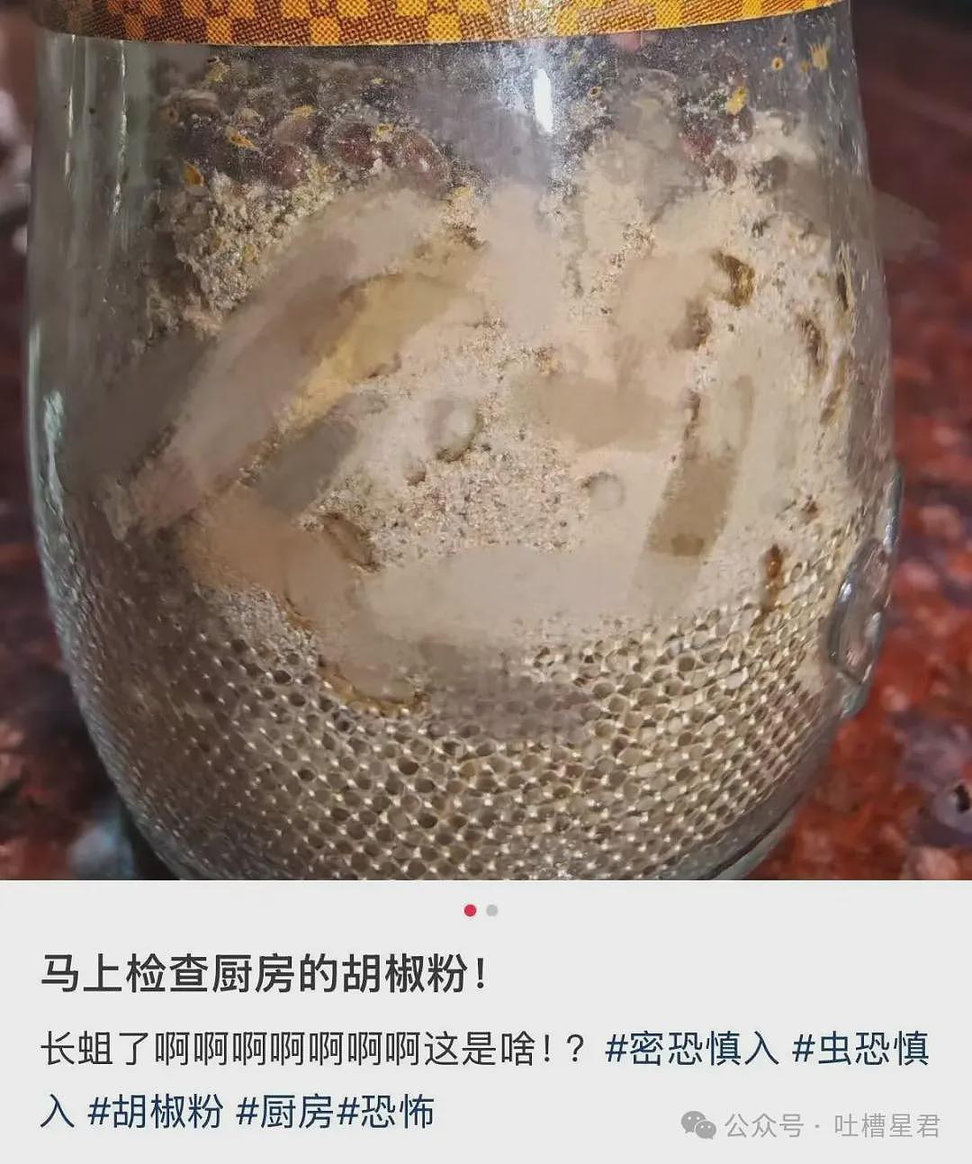 【爆笑】“迪迦和赛罗谁才是最受欢迎的奥特曼…？”哈哈哈奥特曼也有饭圈！ - 41