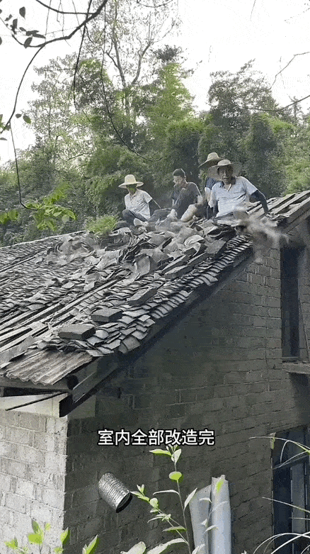 【情感】被大厂裁员后,我和妻子卖掉父亲攒30年的废品,被全网羡慕(组图) - 14