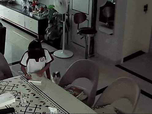 【宠物】小姐姐深夜湖边崩溃大哭,一只流浪猫悄悄爬上椅子,安静陪着她…网友泪目:它自己都没家,却还在担心你 - 3
