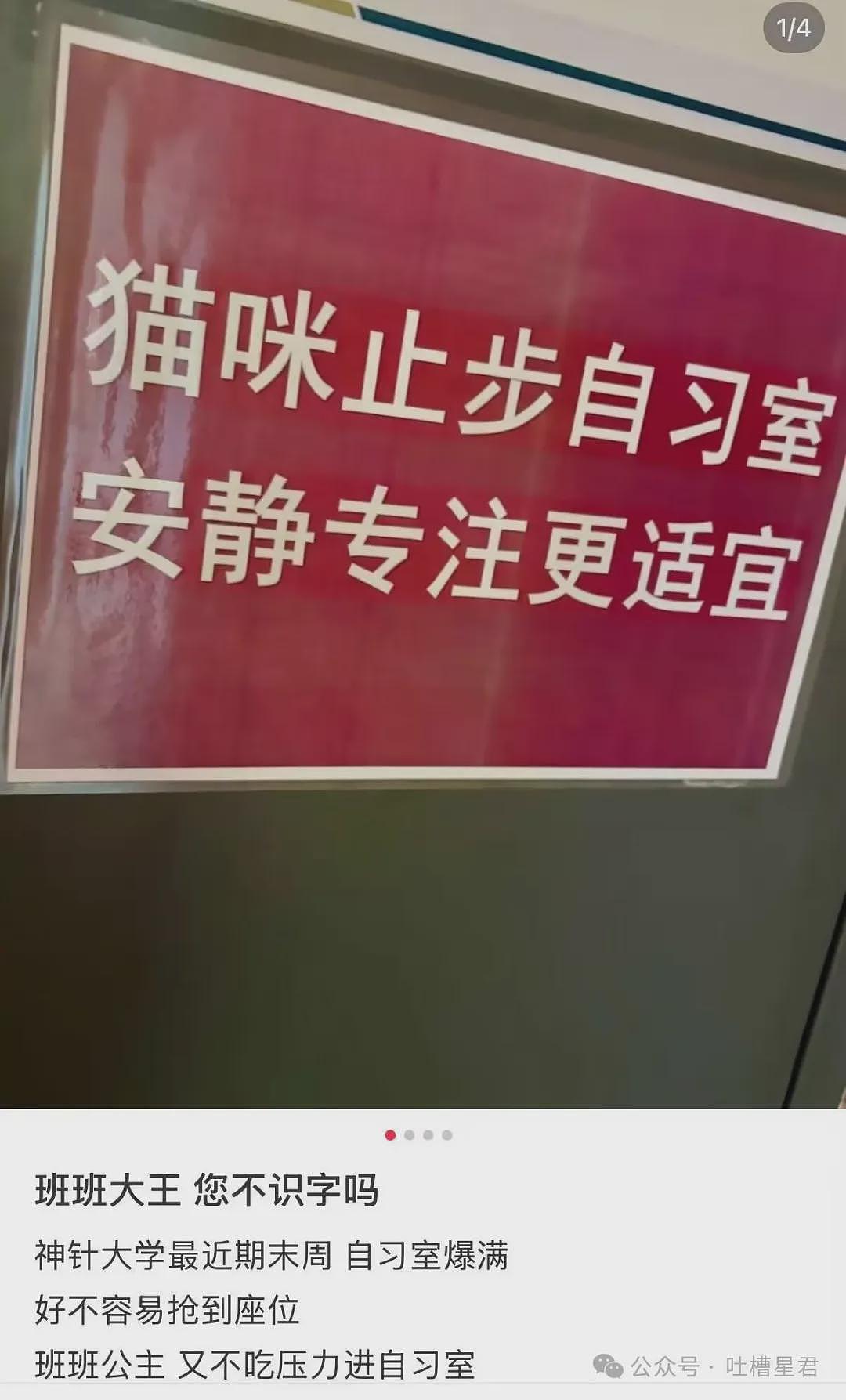 【爆笑】“迪迦和赛罗谁才是最受欢迎的奥特曼…？”哈哈哈奥特曼也有饭圈！ - 58